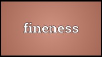 Fineness